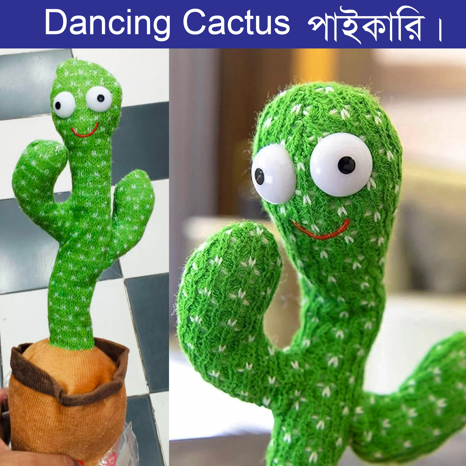 Dancing Cactus Toy
