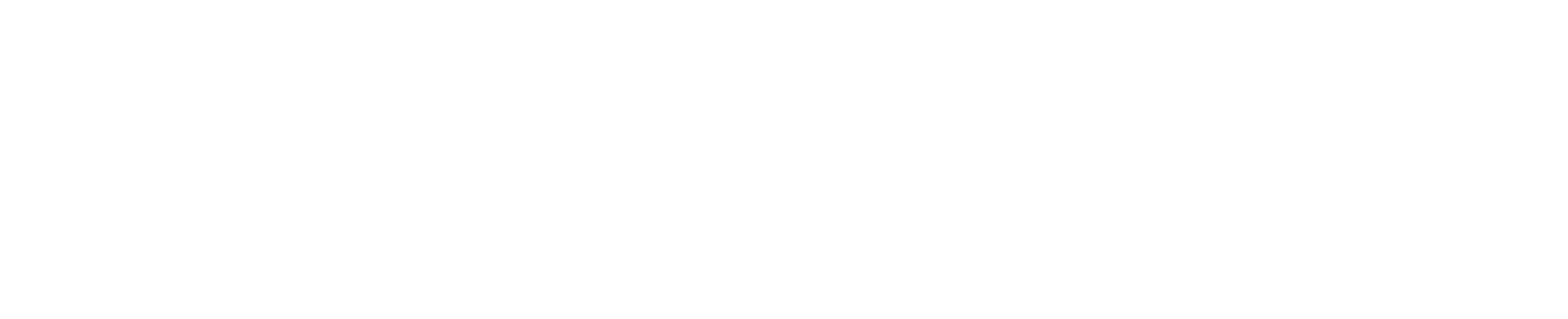 Auronez- Online Shop